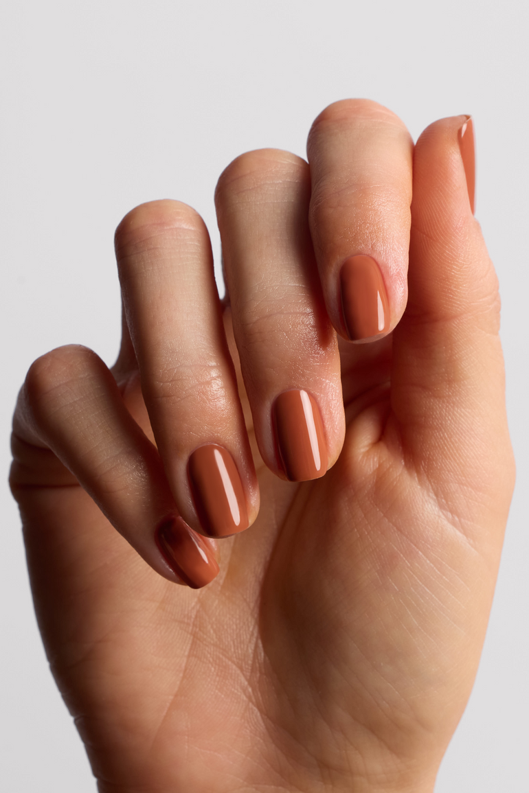 Between Seasons Collection Cinnamon